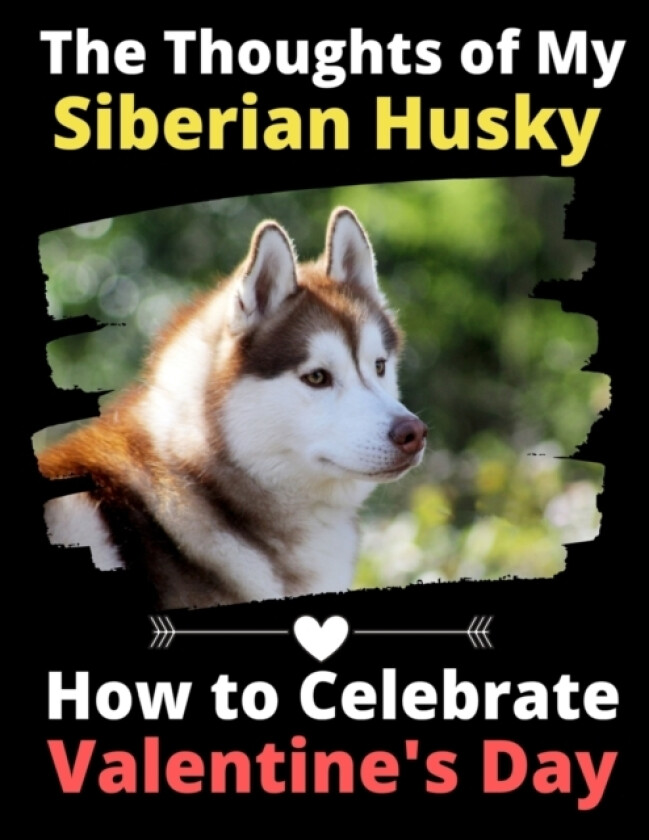 The Thoughts of My Siberian Husky av Brightview Activity Books (Paperback)