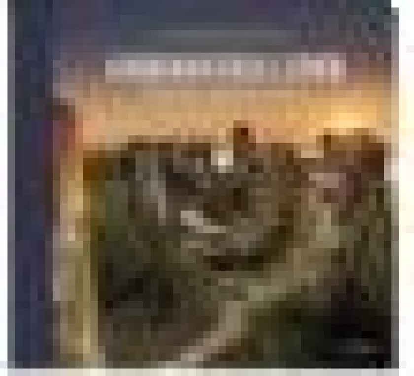 Vadehavsbilleder Lars Roed & Sanne Lotus Birkmose Språk: Dansk