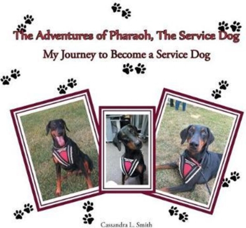 The Adventures of Pharaoh, the Service Dog av Cassandra L Smith (Paperback)