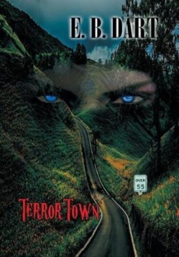 Terror Town av E B Dart (Hardcover)