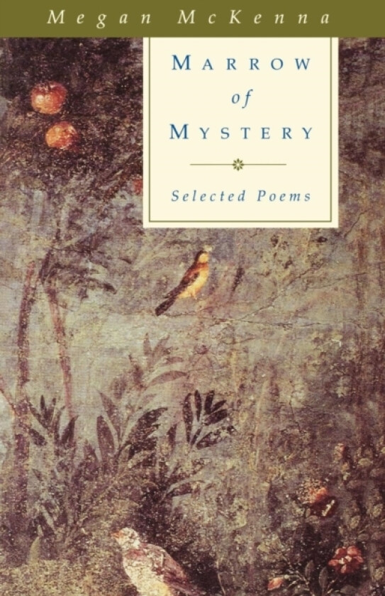 Marrow of Mystery av Megan McKenna (Paperback)