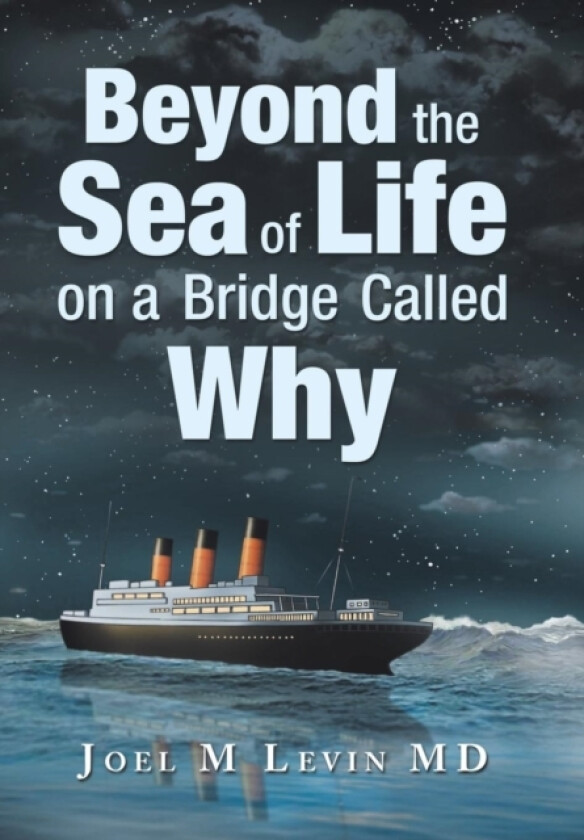 Beyond the Sea of Life on a Bridge Called Why av Joel M MD Levin (Hardcover)