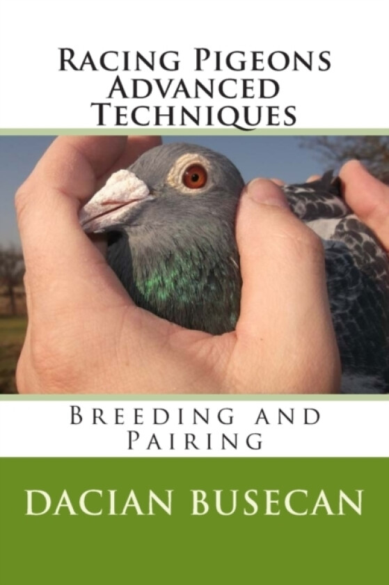 Racing Pigeons Advanced Techniques av Dacian Busecan (Paperback)