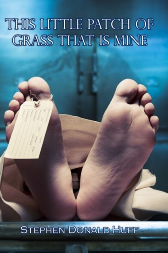 This Little Patch of Grass That is Mine av Stephen Donald Dr Huff (Paperback)