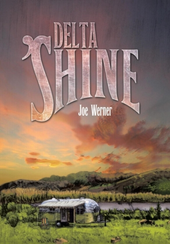 Delta 'Shine av Joe Werner (Hardcover)