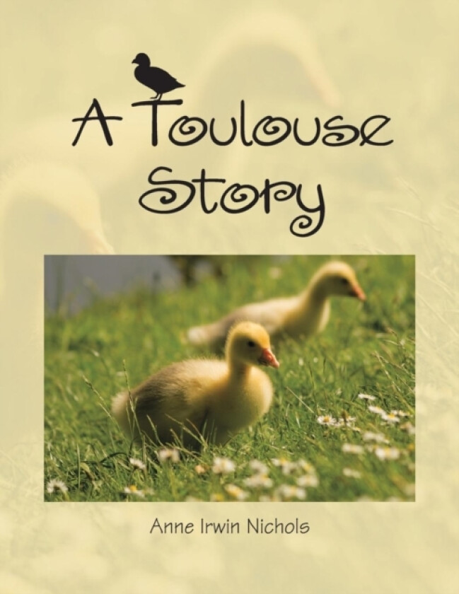 A Toulouse Story av Anne Irwin Nichols (Paperback)