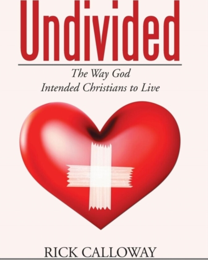 Undivided av Rick Calloway (Hardcover)