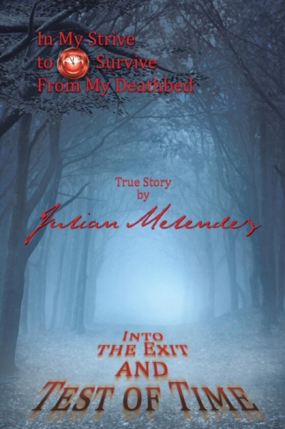 Into the Exit and Test of Time av Julian Melendez (Paperback)