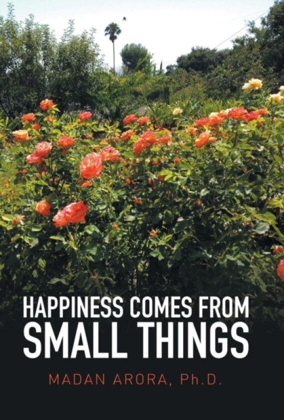 Happiness Comes from Small Things av Madan PH D Arora (Hardcover)