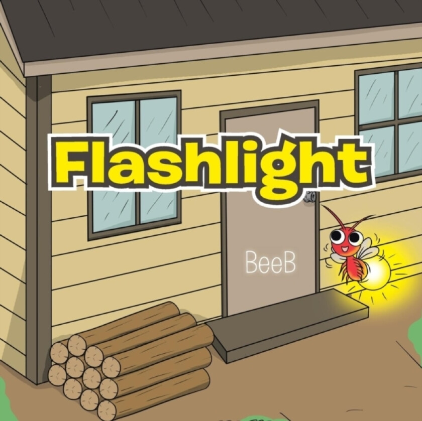 Flashlight av Beeb (Paperback)