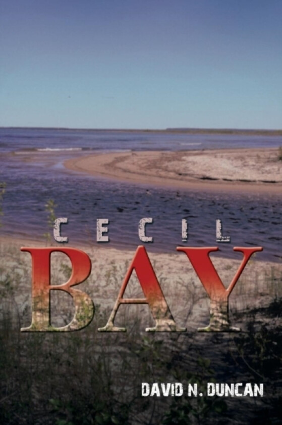 Cecil Bay av David N Duncan (Paperback)