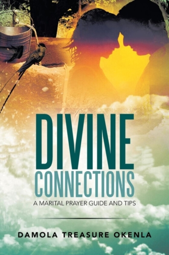 Divine Connections av Damola Treasure Okenla (Paperback)