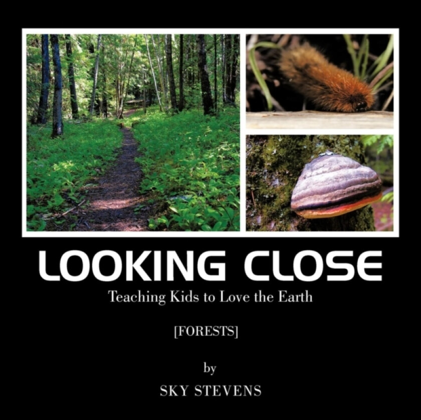 Looking Close av Sky Stevens (Paperback)
