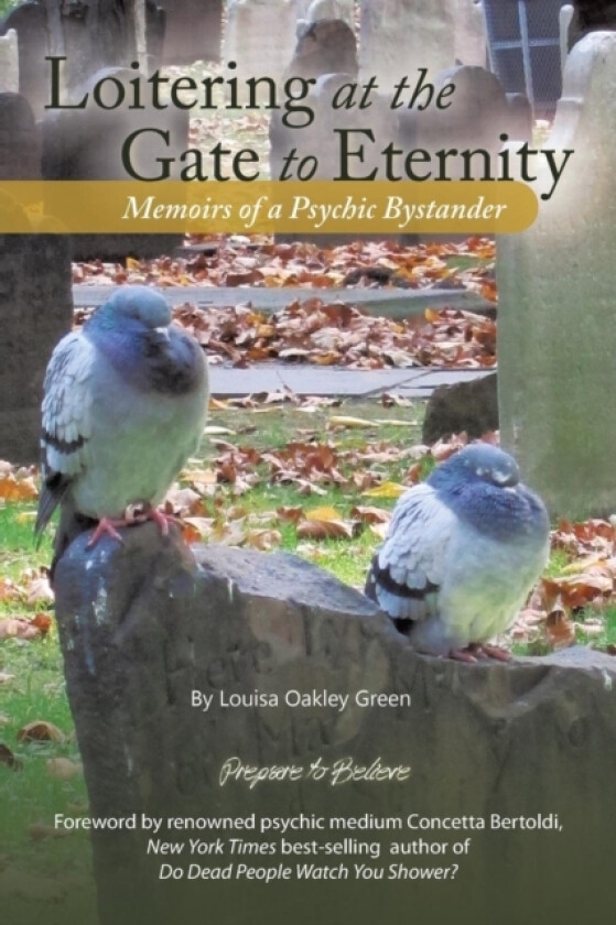Loitering at the Gate to Eternity av Louisa Oakley Green (Paperback)