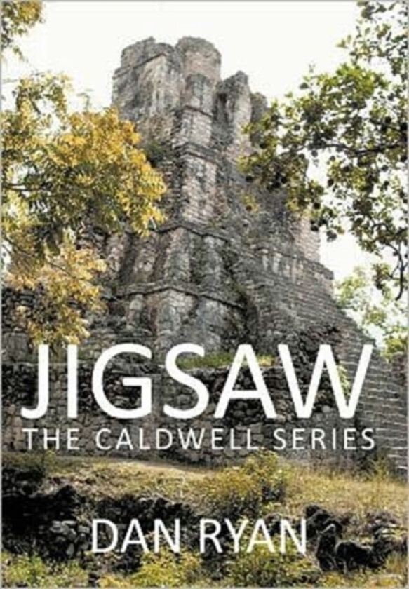 Jigsaw av Dan Ryan (Hardcover)