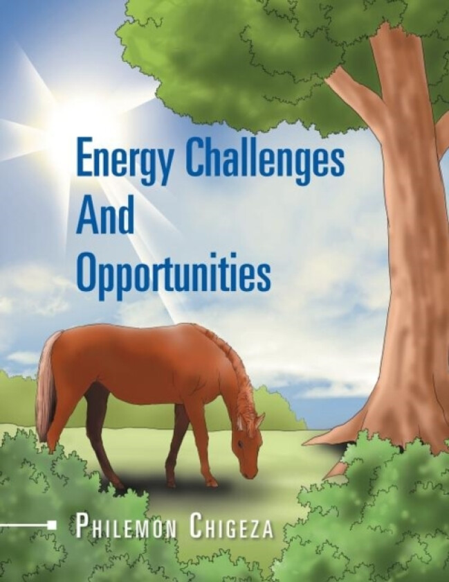 Energy Challenges And Opportunities av Philemon Chigeza (Paperback)