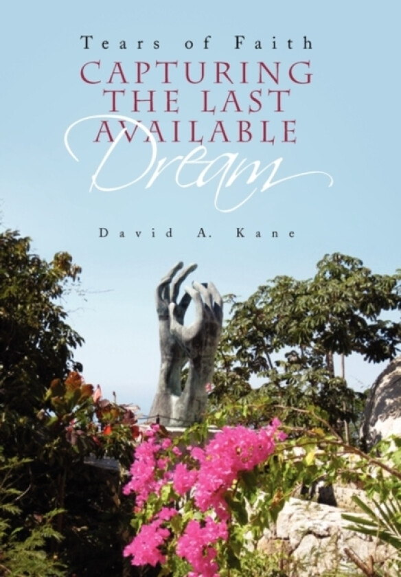 Capturing the Last Available Dream av David A Kane (Paperback)
