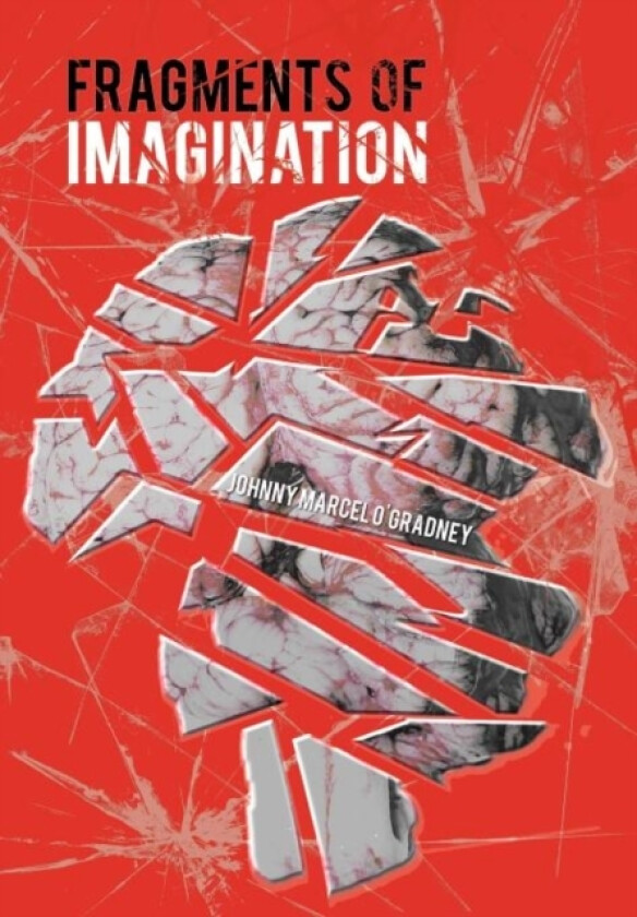 Fragments of Imagination av Johnny Marcel O'Gradney (Hardcover)