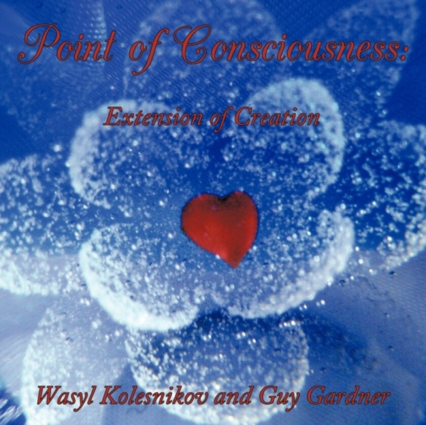 Point of Consciousness av Wasyl Kolesnikov, Guy Gardner (Paperback)