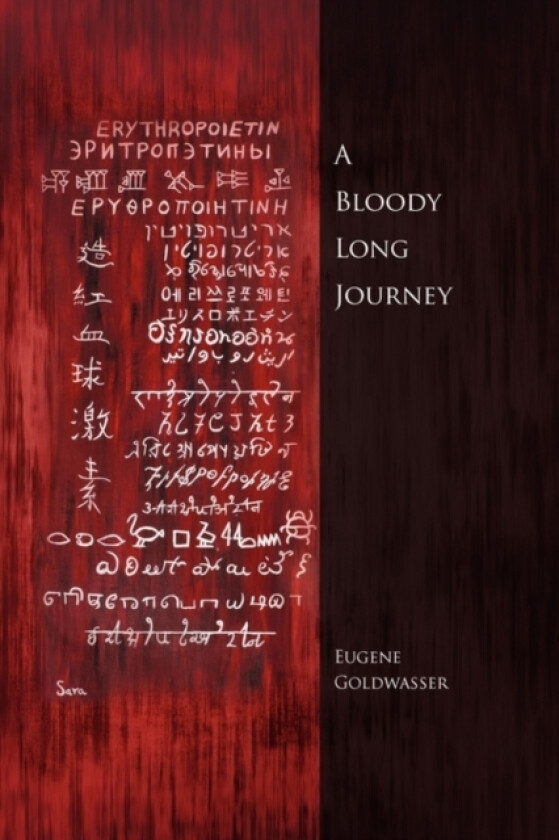 A Bloody Long Journey av Eugene Goldwasser (Paperback)
