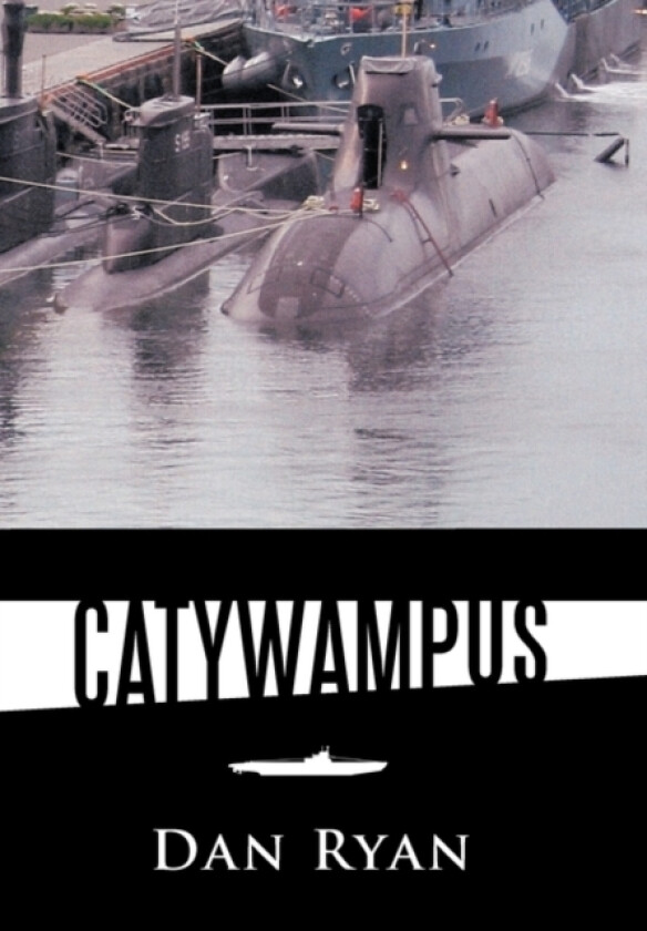 Catywampus av Dan Ryan (Paperback)