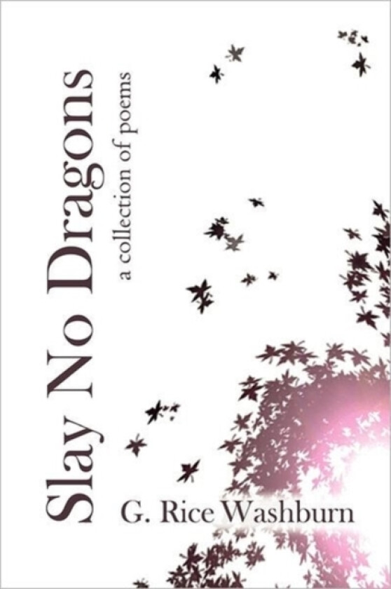 Slay No Dragons av G Rice Washburn (Paperback)