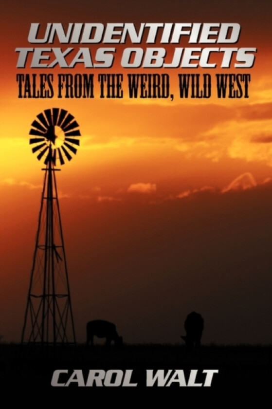 Unidentified Texas Objects av Carol Walt (Paperback)