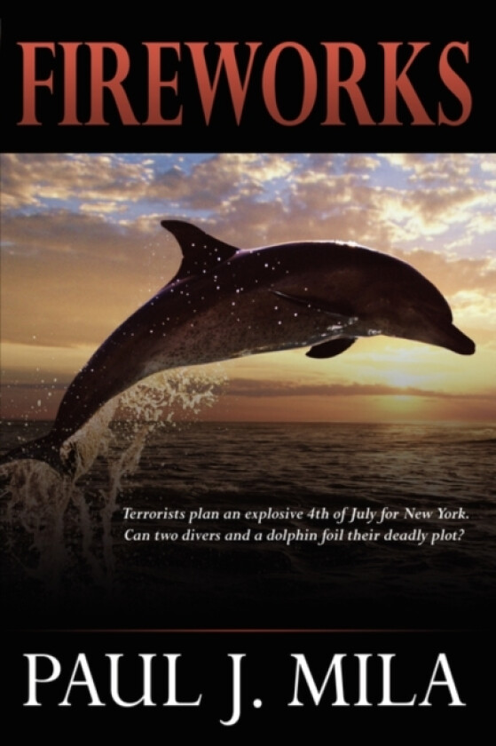 Fireworks av Paul J. Mila (Hardcover)