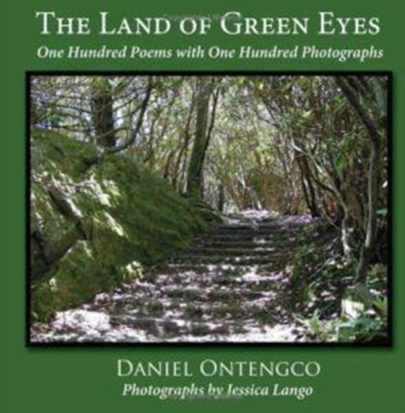 The Land of Green Eyes av Daniel Jr. Ontengco (Paperback)