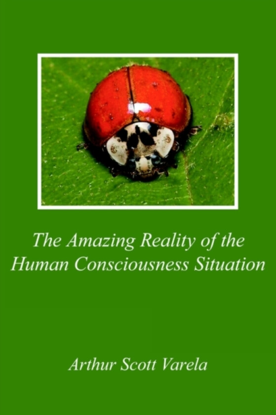 The Amazing Reality of the Human Consciousness Situation av Arthur Scott Varela (Paperback)