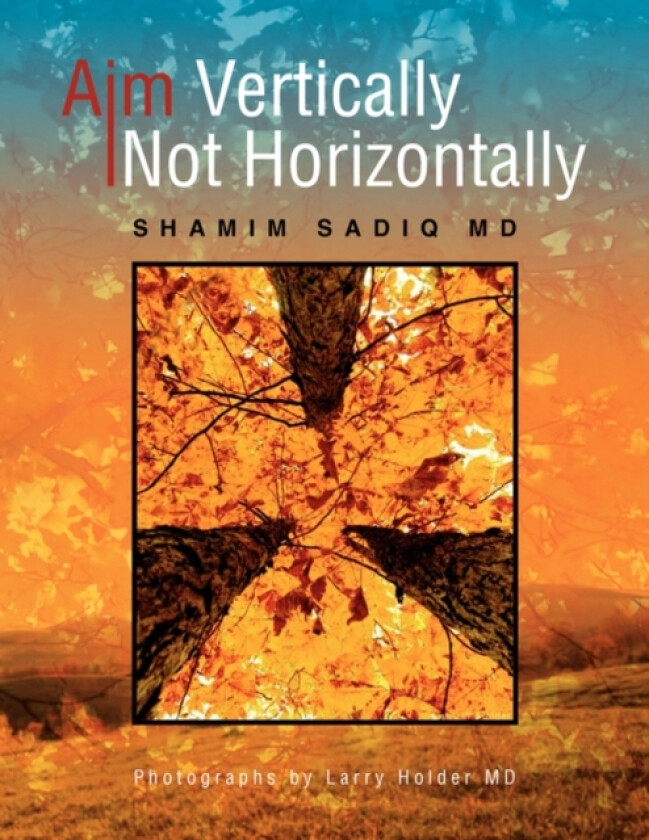 Aim Vertically Not Horizontally av Shamim MD Sadiq (Paperback)