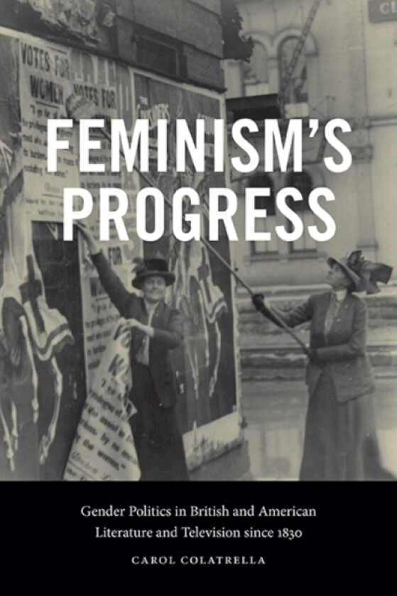 Feminism's Progress av Carol Colatrella (Paperback)