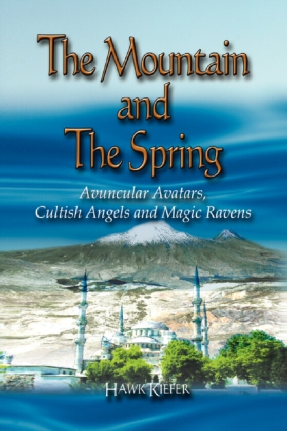 The Mountain and the Spring av Colonel Hawk Kiefer (Paperback)