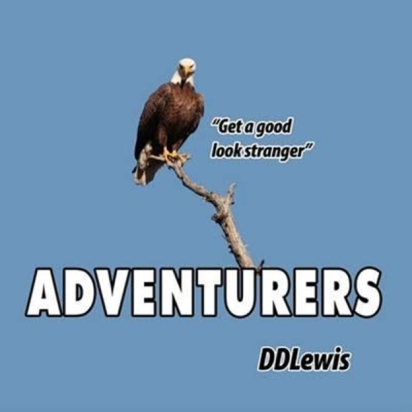 Adventurers av DDLewis (Paperback)