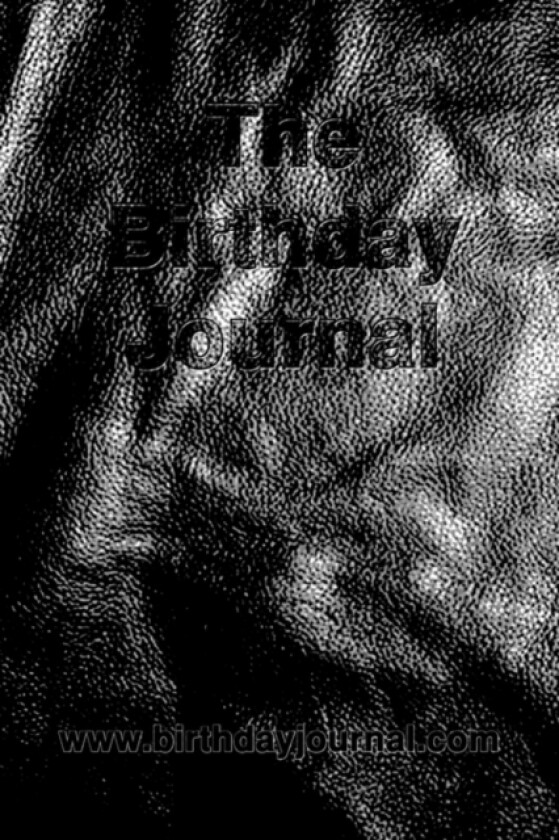 The Birthday Journal av William J. Gyarfas Jr (Paperback)