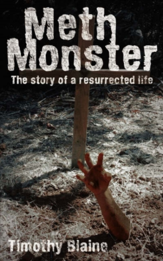 Meth Monster av Timothy Blaine (Paperback)