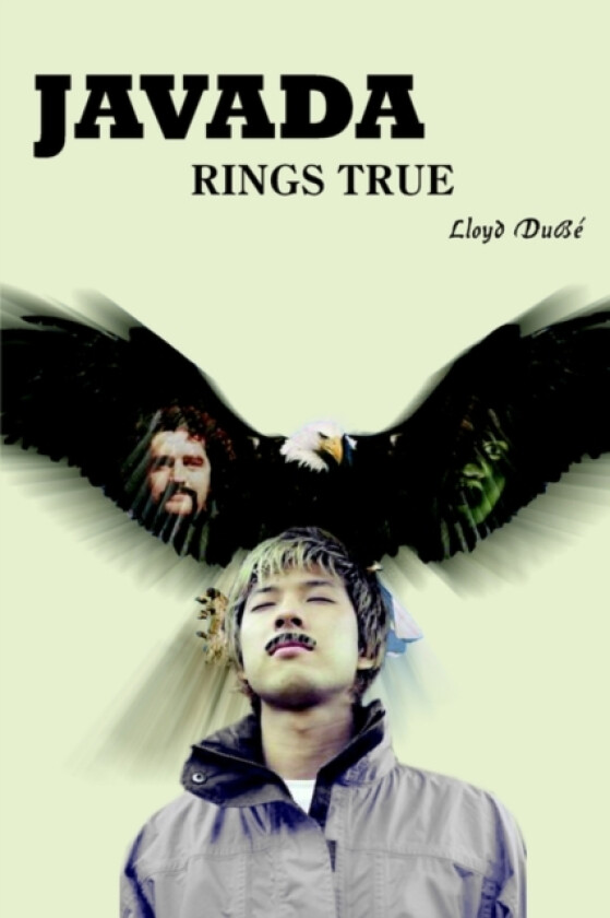 Javada Rings True av Lloyd DuBe (Paperback)