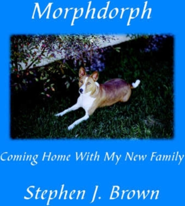 Morphdorph av Stephen J Esq Esq Brown (Paperback)