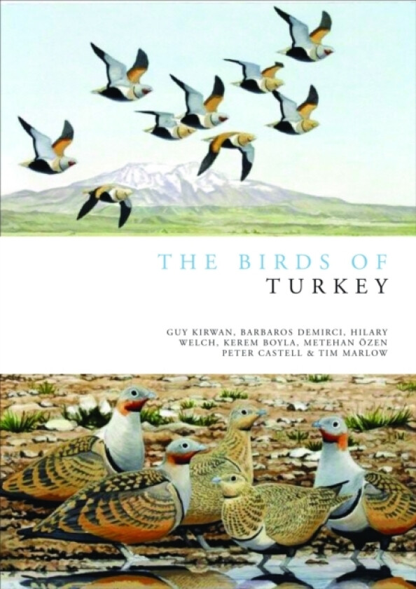 The Birds of Turkey av Guy Kirwan, Barbaros Demirci, Hilary Welch (Hardcover)
