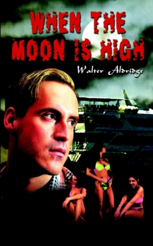 When the Moon is High av Walter Aldridge (Paperback)