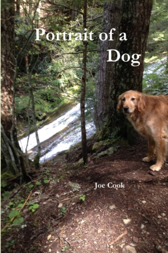 Portrait of a Dog av Joe Cook (Paperback)