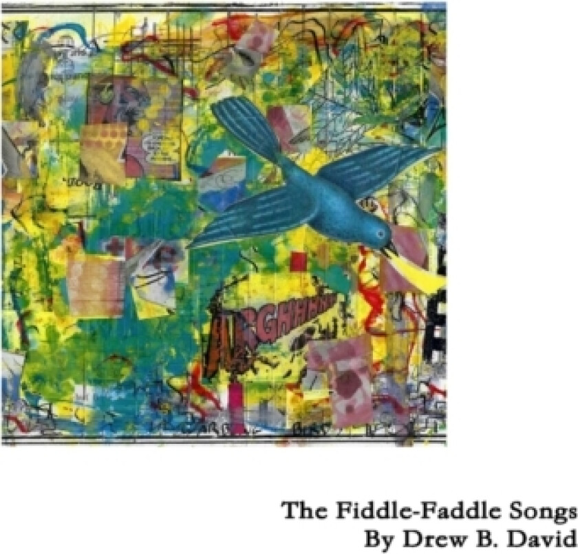 The Fiddle-Faddle Songs av Drew B David (Paperback)