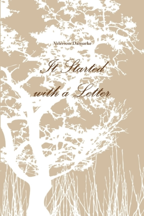 It Started with a Letter av Velerion Damarke (Paperback)