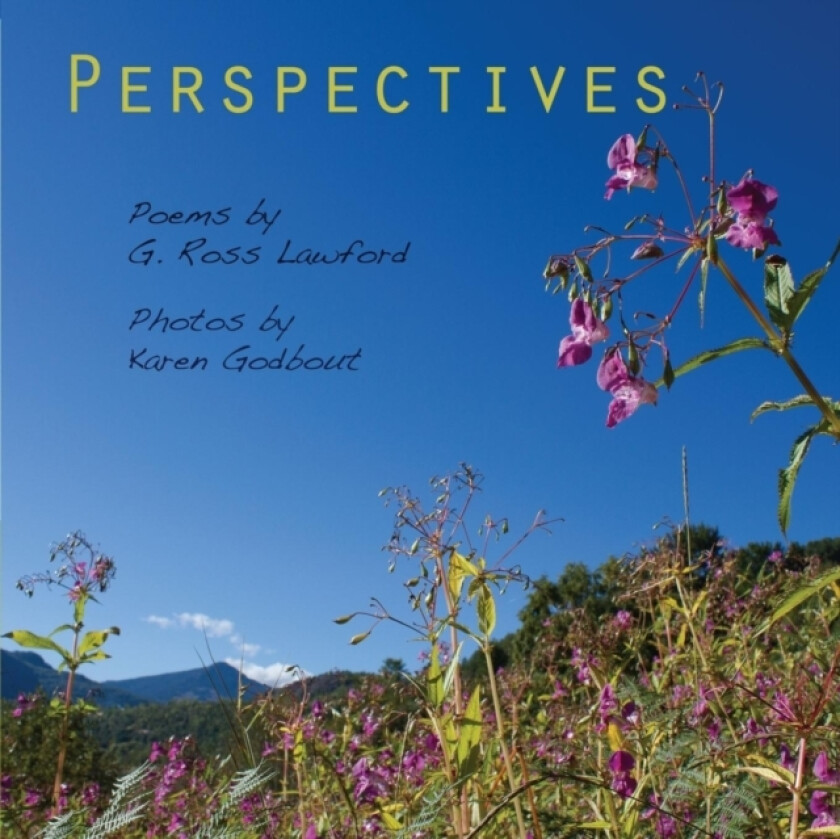 Perspectives av Karen Godbout, G.Ross Lawford (Paperback)