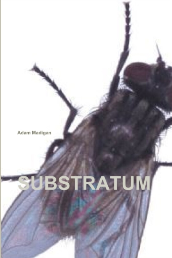 Substratum av Adam Madigan (Paperback)