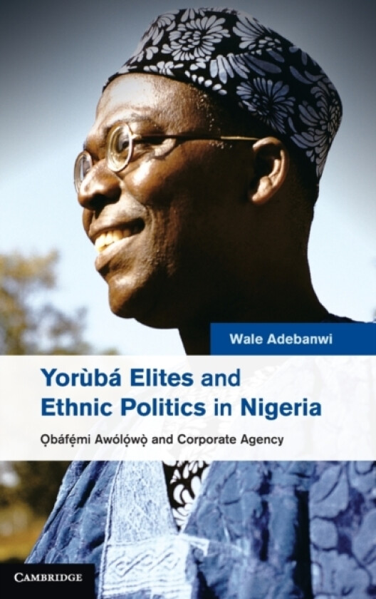 Yoruba Elites and Ethnic Politics in Nigeria av Wale Adebanwi (Hardcover)