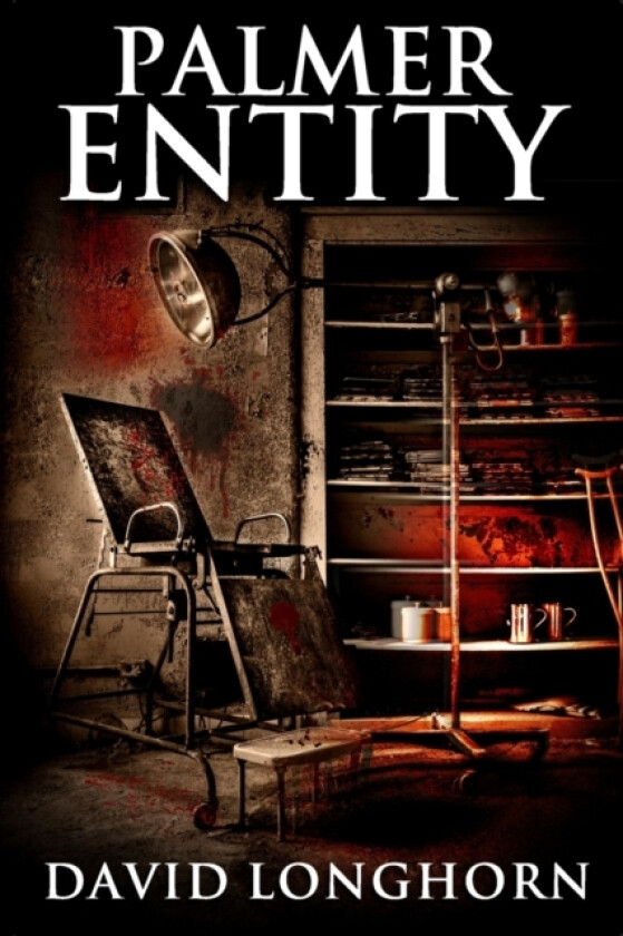 Palmer Entity av Scare Street, David Longhorn (Paperback)