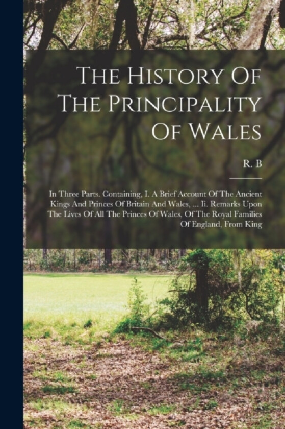 The History Of The Principality Of Wales av R B (Paperback)