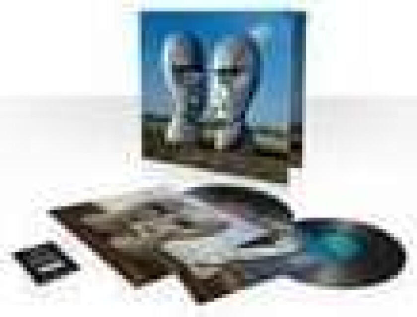 Pink Floyd - The Division Bell (180 Gram - 2LP)