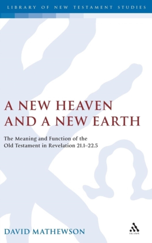 A New Heaven and a New Earth av Dave Mathewson (Hardcover)